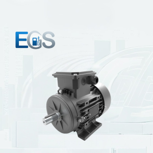 الکتروموتور ضد انفجار میکسان سری 3000RPM