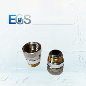 شیر هرزگرد آیله AILE